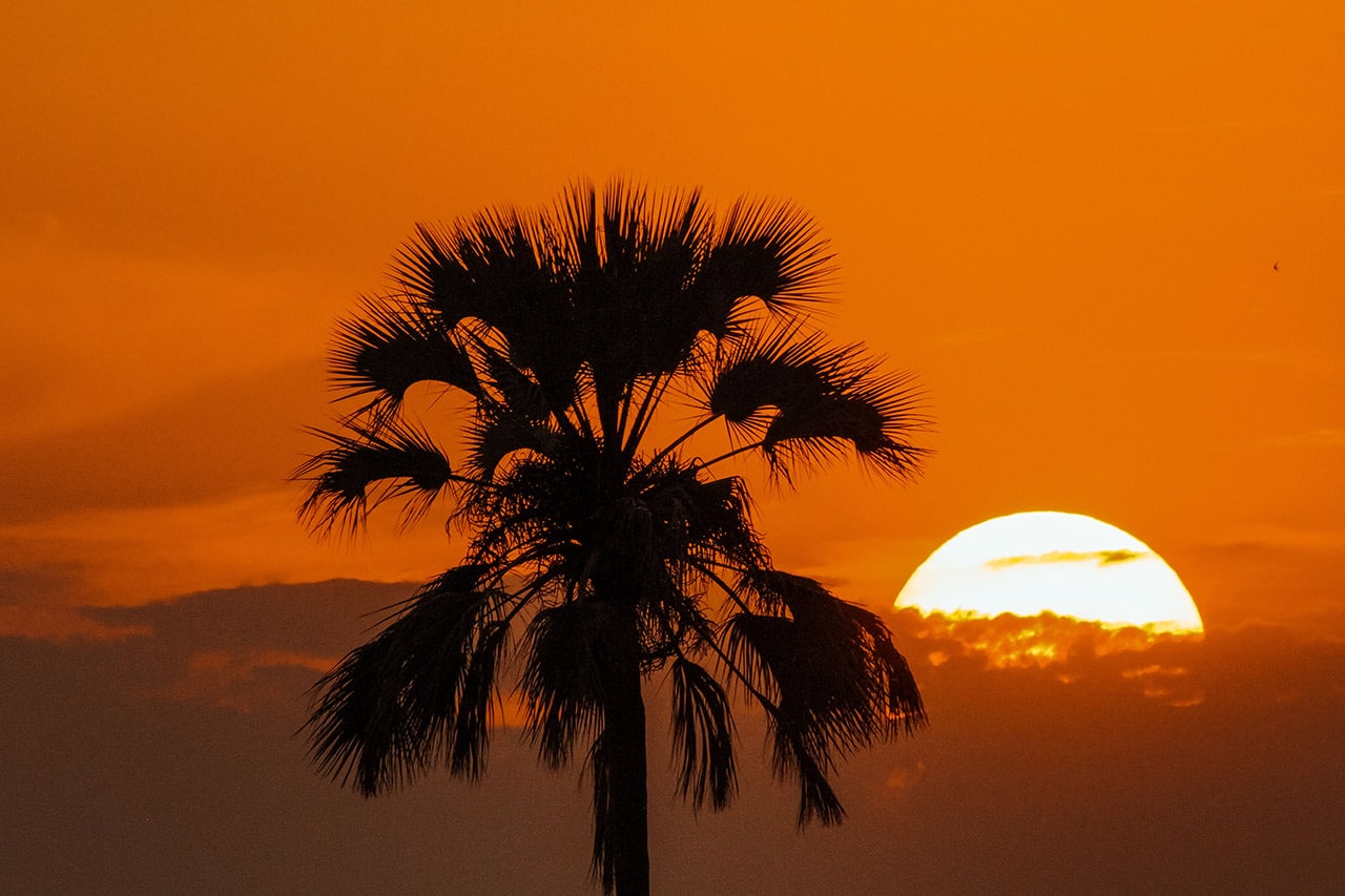 Incredible Sun Set. Our Efforts Worth.